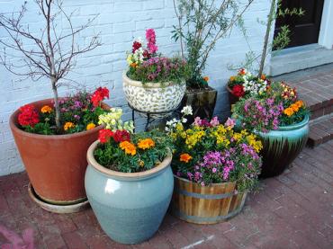 Container Gardening Class