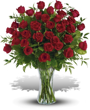 rigdom Modernisering Vask vinduer Breathtaking Beauty - 3 Dozen Long Stemmed Roses arranged by a florist in  Charles City, IA | Otto's Oasis