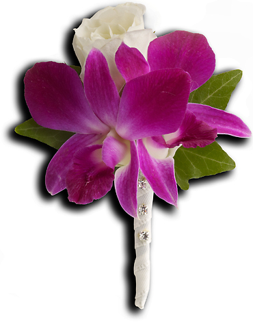 Fresh in Fuchsia Boutonniere