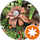 Honest feedback